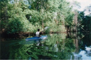 Nariva Swamp Kayak Paddle / Trinidad